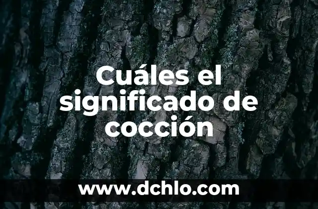 Cuáles el significado de cocción