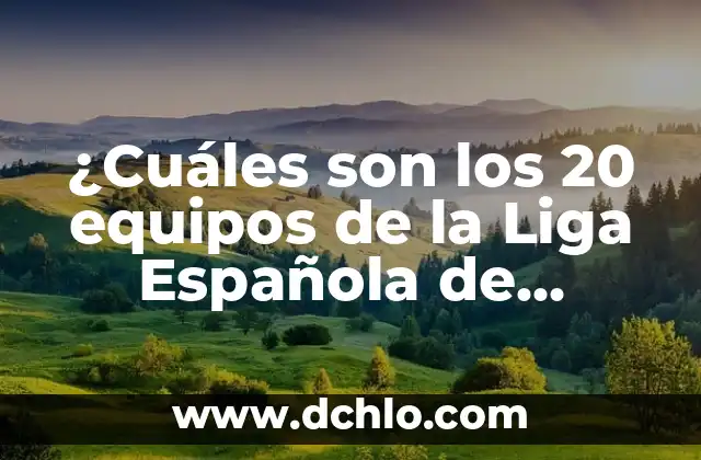 ¿Cuáles son los 20 equipos de la Liga Española de Fútbol?