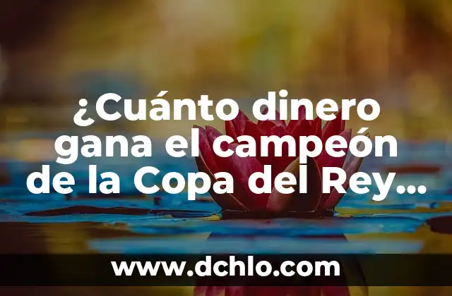 ¿Cuánto dinero gana el campeón de la Copa del Rey en España?