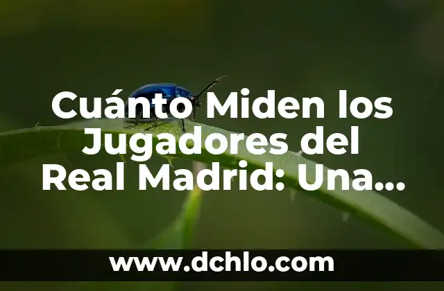 Cuánto Miden los Jugadores del Real Madrid: Una Guía Completa