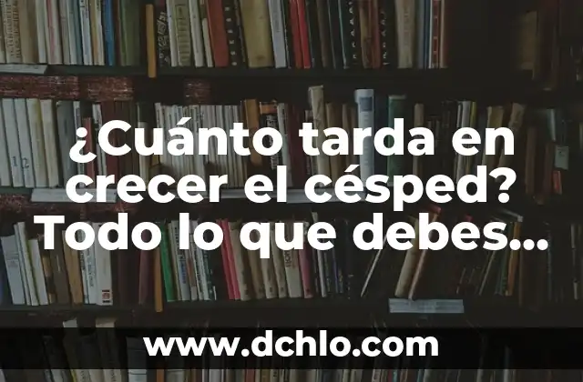 ¿Cuánto tarda en crecer el césped? Todo lo que debes saber sobre el crecimiento del césped