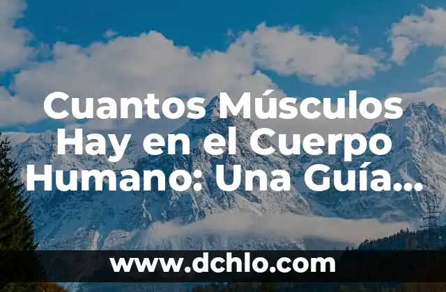 Cuantos Músculos Hay en el Cuerpo Humano: Una Guía Completa