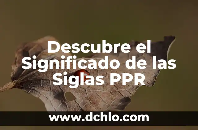 Descubre el Significado de las Siglas PPR