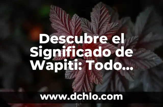 Descubre el Significado de Wapiti: Todo Sobre este Impresionante Cervideo