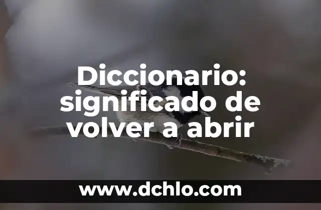 Diccionario: significado de volver a abrir