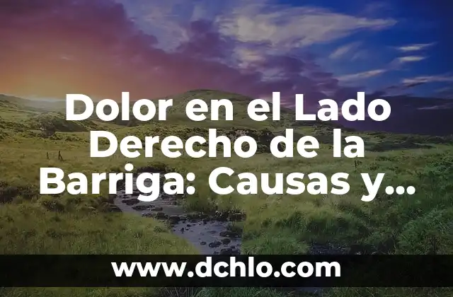 Dolor en el Lado Derecho de la Barriga: Causas y Tratamientos