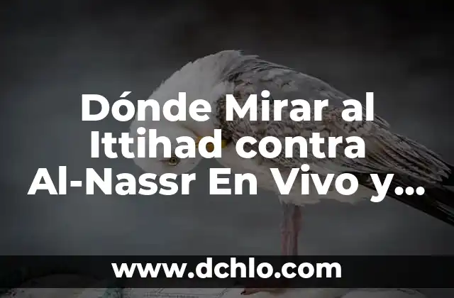 Dónde Mirar al Ittihad contra Al-Nassr En Vivo y Online