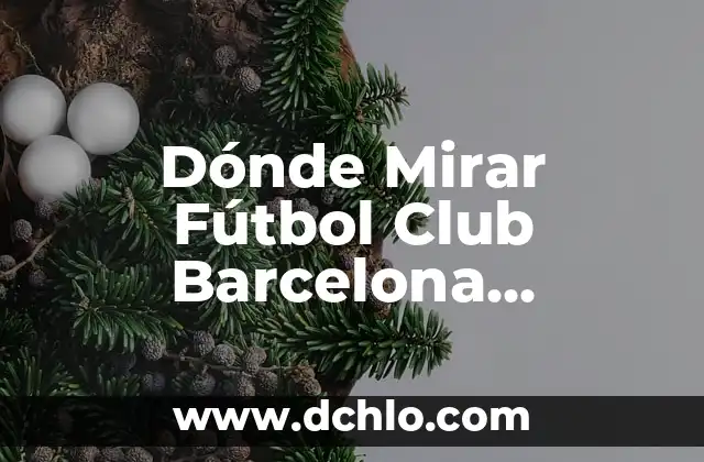 Dónde Mirar Fútbol Club Barcelona Femenino Contra SK Brann Kvinner En Vivo Gratis