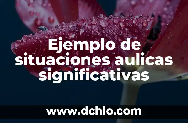 Ejemplo de situaciones aulicas significativas