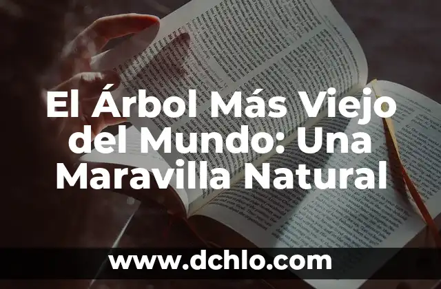 El Árbol Más Viejo del Mundo: Una Maravilla Natural