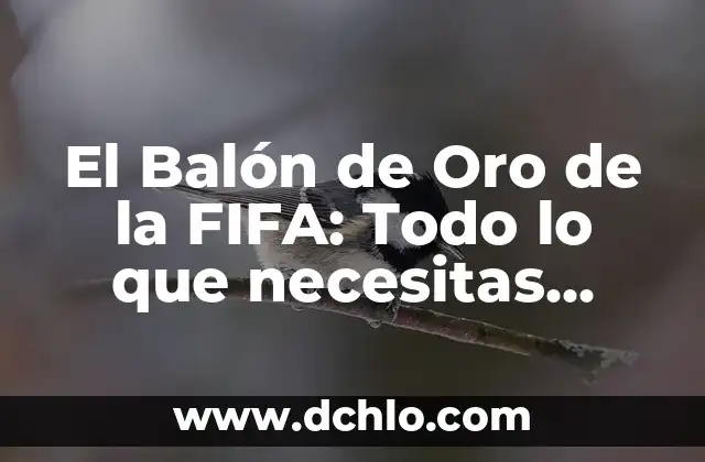 El Balón de Oro de la FIFA: Todo lo que necesitas saber sobre el premio más prestigioso del fútbol