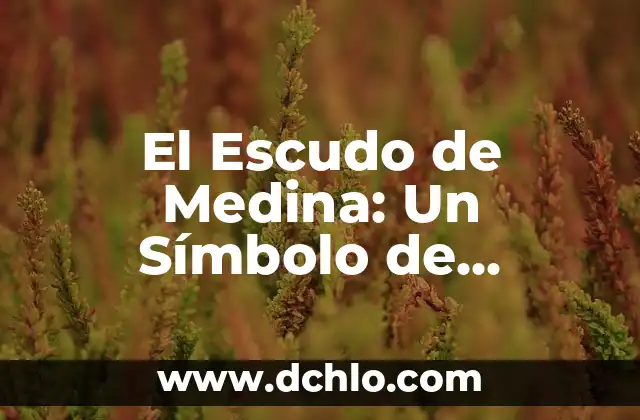 El Escudo de Medina: Un Símbolo de Riqueza Histórica