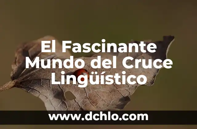 El Fascinante Mundo del Cruce Lingüístico