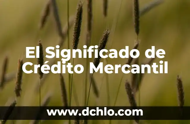 El Significado de Crédito Mercantil