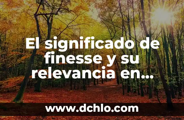 El significado de finesse y su relevancia en diferentes contextos