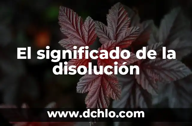 El significado de la disolución