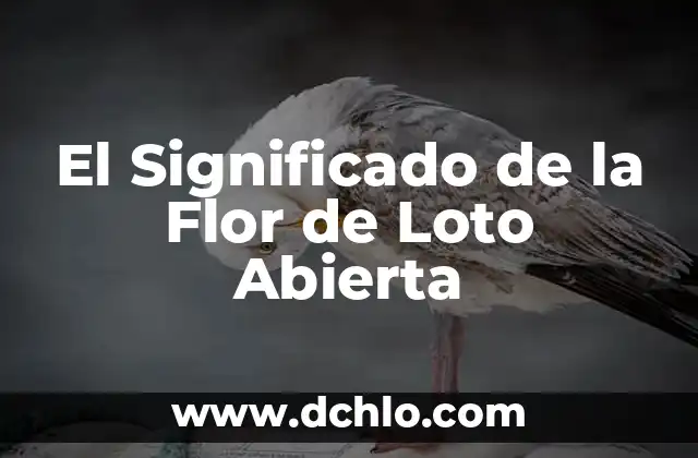 El Significado de la Flor de Loto Abierta