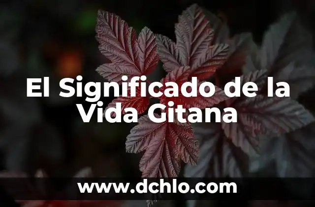 El Significado de la Vida Gitana