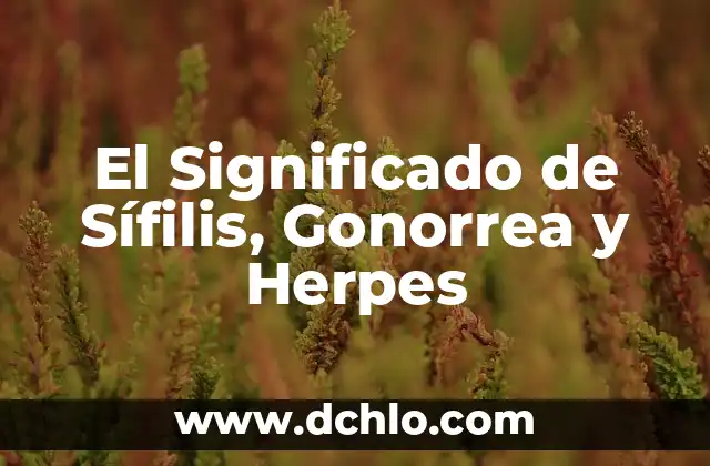 El Significado de Sífilis, Gonorrea y Herpes