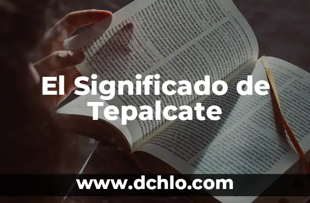 El Significado de Tepalcate