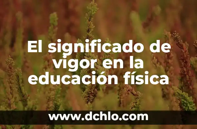 El significado de vigor en la educación física