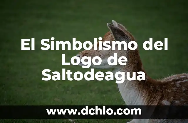 El Simbolismo del Logo de Saltodeagua