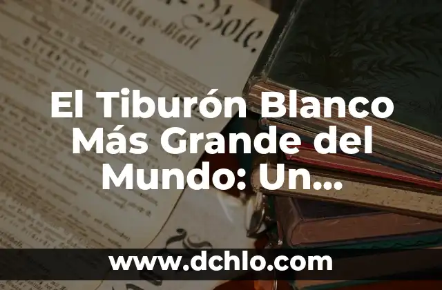 El Tiburón Blanco Más Grande del Mundo: Un Gigante de los Mares