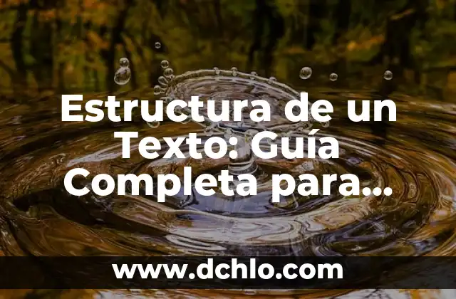 Estructura de un Texto: Guía Completa para Entender su Significado