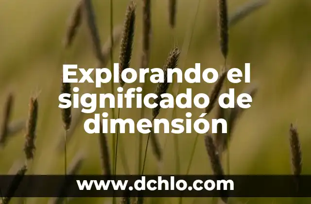Explorando el significado de dimensión