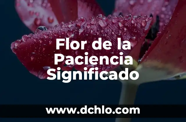 Flor de la Paciencia Significado