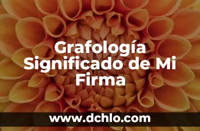 Grafología Significado de Mi Firma