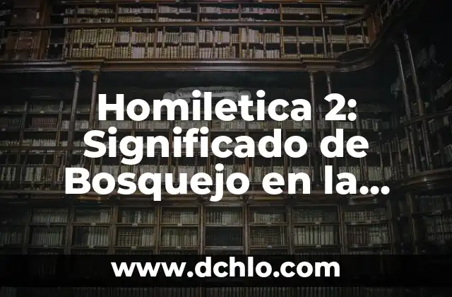 Homiletica 2: Significado de Bosquejo en la Predicación