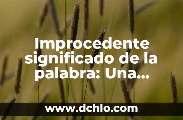 Improcedente significado de la palabra: Una exploración del lenguaje