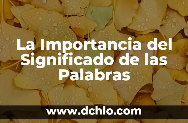 La Importancia del Significado de las Palabras
