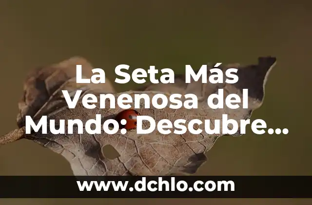 La Seta Más Venenosa del Mundo: Descubre el Terror de Amanita Phalloides