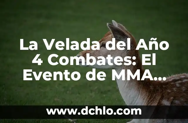 La Velada del Año 4 Combates: El Evento de MMA más Esperado