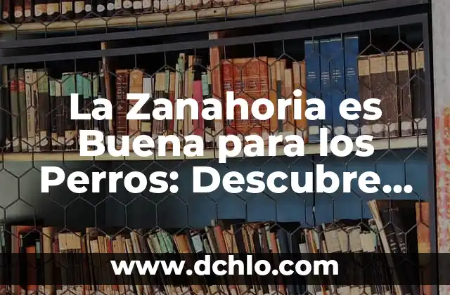 La Zanahoria es Buena para los Perros: Descubre los Beneficios