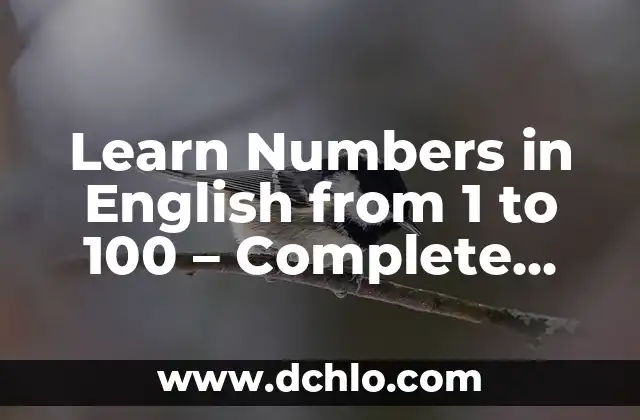 Learn Numbers in English from 1 to 100 - Complete Guide