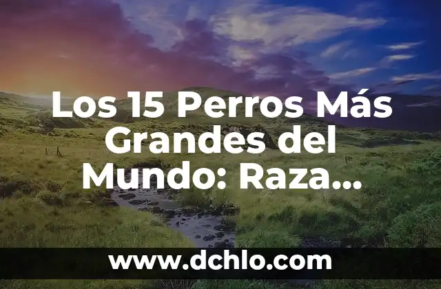 Los 15 Perros Más Grandes del Mundo: Raza, Tamaño y Características