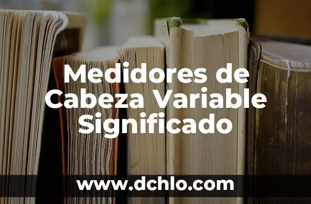 Medidores de Cabeza Variable Significado