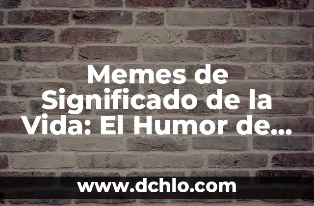 Memes de Significado de la Vida: El Humor de lo Profundo