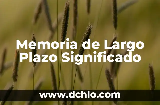 Memoria de Largo Plazo Significado