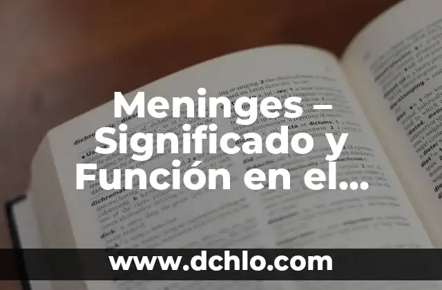 Meninges - Significado y Función en el Sistema Nervioso