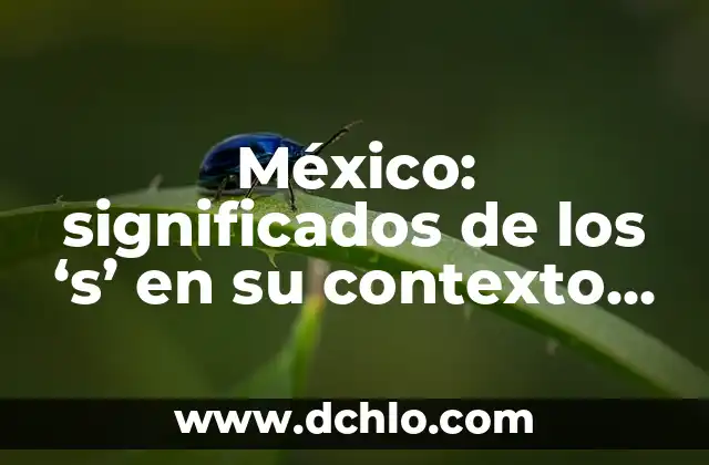 México: significados de los 's' en su contexto histórico y cultural