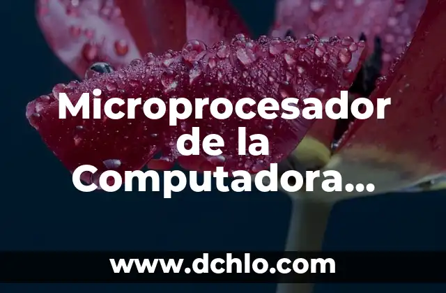 Microprocesador de la Computadora Significado