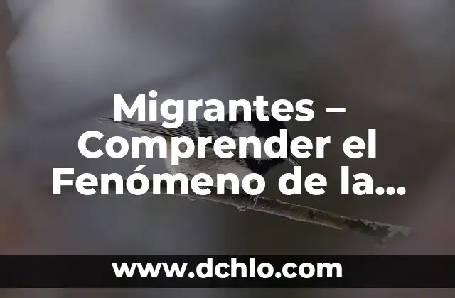 Migrantes - Comprender el Fenómeno de la Migración