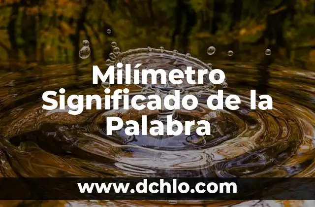 Milímetro Significado de la Palabra