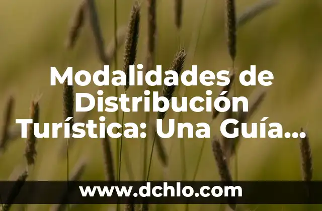 Modalidades de Distribución Turística: Una Guía Completa