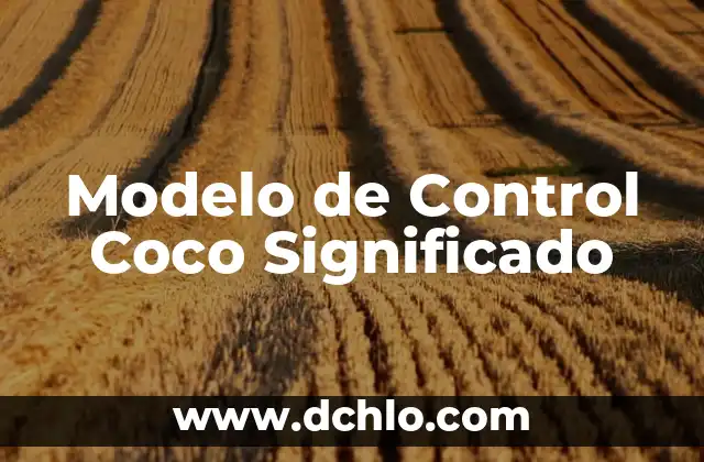 Modelo de Control Coco Significado