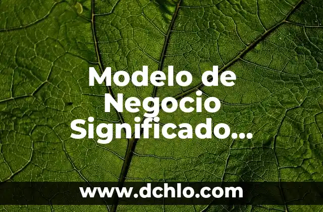 Modelo de Negocio Significado Financiero: Una Guía Integral
